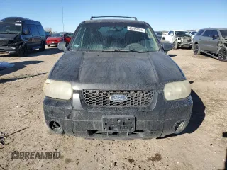 2006 Ford Escape Limited with VIN 1FMYU04196KA34229, listed as a Copart auction lot 46709785 with 203,203 mi miles and Salvage title. Bid and sale history available at DreamBid. Image 5.