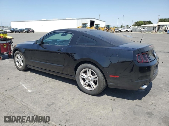 2013 Ford Mustang V6 with VIN 1ZVBP8AM6D5243659, listed as a Copart auction lot 59528155 with 169,494 mi miles and Salvage title. Bid and sale history available at DreamBid. Image 2.