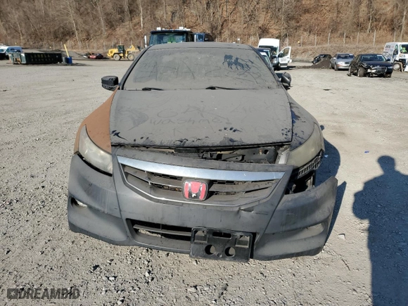 2009 Honda Accord Cpe EX-L with VIN 1HGCS22849A005491, listed as a Copart auction lot 48218255 with NaN miles and Clean Title. Bid and sale history available at carsss.com. Image 5.