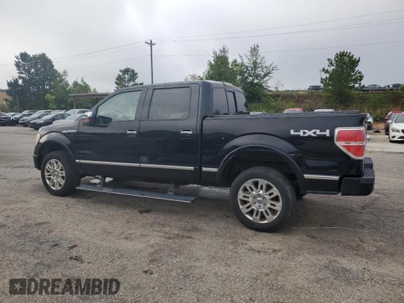 2009 Ford F-150 XL with VIN 1FTPW14V39FA46411, listed as a Copart auction lot 60041665 with 267,792 mi miles and Salvage title. Bid and sale history available at DreamBid. Image 2.