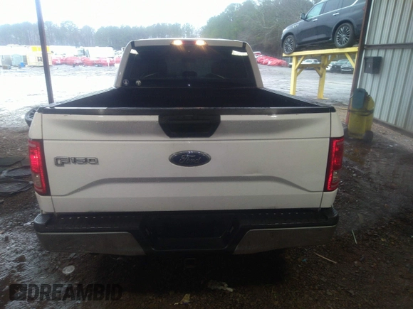 2016 Ford F-150 XL with VIN 1FTEX1CP2GKF17539, listed as a IAAI auction lot 41564689 with 251,000 mi miles and . Bid and sale history available at carsss.com. Image 16.