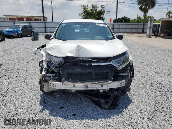 2019 Honda CR-V LX with VIN 2HKRW5H32KH406580, listed as a Copart auction lot 55534825 with 41,808 mi miles and Salvage Title. Bid and sale history available at DreamBid. Image 5.
