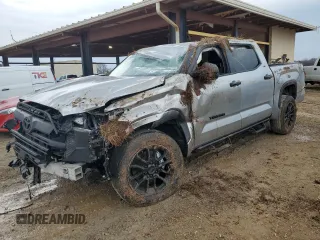 2023 Toyota Tundra SR5 with VIN 5TFLA5DBXPX114964, listed as a Copart auction lot 51179835 with Not provided miles and Salvage title. Bid and sale history available at DreamBid. Image 1.