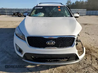 2016 Kia Sorento EX with VIN 5XYPHDA16GG137051, listed as a Copart auction lot 45541995 with 0 mi miles and Salvage Title. Bid and sale history available at carsss.com. Image 5.