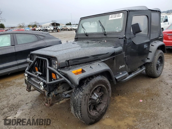 1995 Jeep Wrangler S with VIN 1J4FY19P6SP204427, listed as a Copart auction lot 44130185 with 373,692 mi miles and Salvage Title. Bid and sale history available at carsss.com. Image 1.