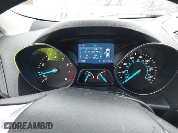 2014 Ford Escape S with VIN 1FMCU0F73EUB09490, listed as a IAAI auction lot 41557088 with 247,187 mi miles. Bid and sale history available at carsss.com. Image 7.