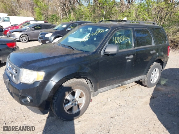 2010 Ford Escape XLT with VIN 1FMCU0D78AKB72027, listed as a IAAI auction lot 42056396 with 172,370 mi miles. Bid and sale history available at carsss.com. Image 2.