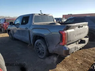 2023 Toyota Tundra Platinum with VIN 5TFNA5DB6PX102836, listed as a Copart auction lot 88541885 with 22,828 mi miles and Salvage title. Bid and sale history available at DreamBid. Image 2.