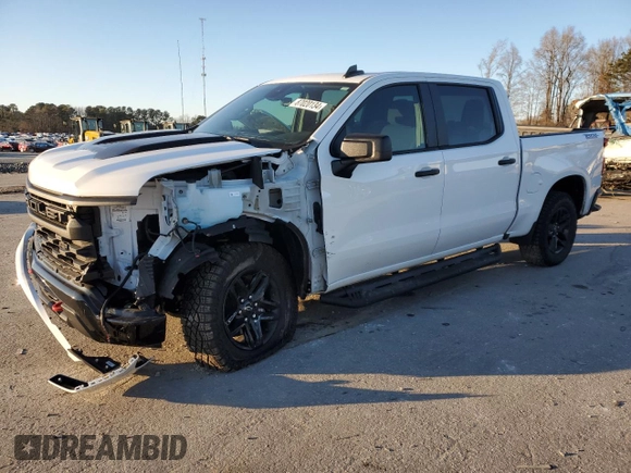 2024 Chevrolet Silverado 1500 Custom Trail Boss with VIN 3GCUDCED9RG110122, listed as a Copart auction lot 87020134 with 9,159 mi miles and Salvage Title. Bid and sale history available at carsss.com. Image 1.