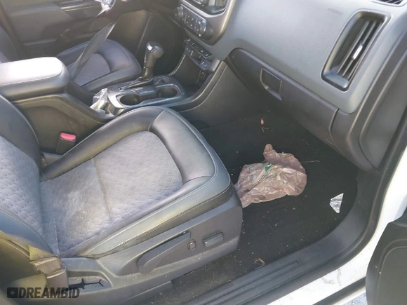 2017 Chevrolet Colorado 2WD Z71 with VIN 1GCGSDE18H1149666, listed as a IAAI auction lot 40526720 with 142,451 mi miles. Bid and sale history available at carsss.com. Image 19.