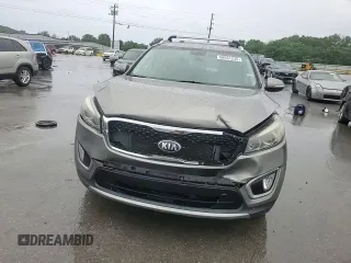 2016 Kia Sorento EX with VIN 5XYPH4A5XGG127299, listed as a Copart auction lot 58931235 with 113,561 mi miles and Salvage title. Bid and sale history available at DreamBid. Image 14.