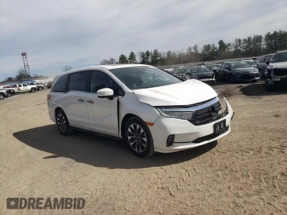 2024 Honda Odyssey EX-L с VIN 5FNRL6H62RB069216, выставлен на аукционе Copart как лот 49858955 с пробегом 7 578 миль миль и Списание • Salvage title. История ставок и продаж доступна на DreamBid. Изображение 11.