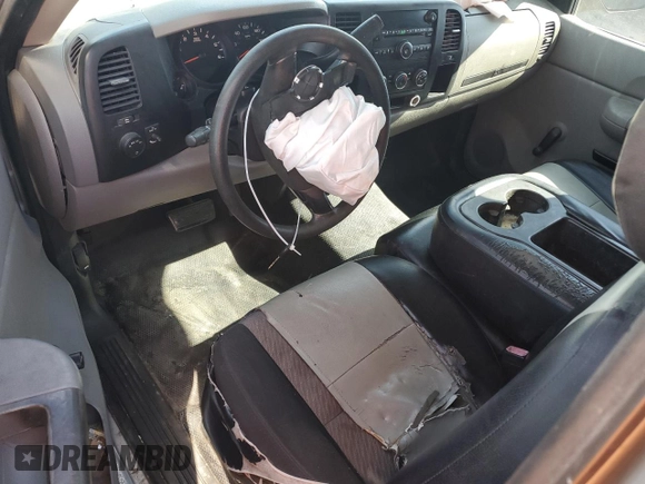 2008 Chevrolet Silverado 1500 Work Truck with VIN 1GCEC14X68Z313202, listed as a Copart auction lot 49251375 with 0 mi miles and Non Repairable. Bid and sale history available at carsss.com. Image 8.