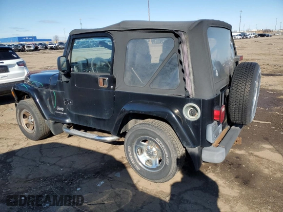 2003 Jeep Wrangler X with VIN 1J4FA39S33P357059, listed as a Copart auction lot 48983315 with 166,532 mi miles and Salvage title. Bid and sale history available at DreamBid. Image 2.