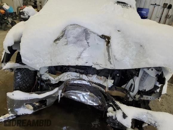 2017 Nissan Titan S with VIN 1N6AA1EK8HN549801, listed as a Copart auction lot 88013065 with Not provided miles and Salvage title. Bid and sale history available at DreamBid. Image 12.
