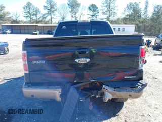 2011 Ford F-150 XL with VIN 1FTFW1EF4BKD17458, listed as a IAAI auction lot 41363624 with 259,476 mi miles. Bid and sale history available at carsss.com. Image 16.