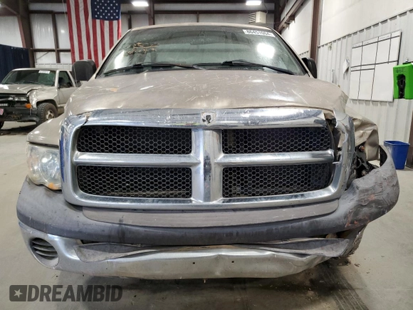 2002 Dodge 1500 with VIN 1D7HA16K52J263179, listed as a Copart auction lot 86451004 with 317,721 mi miles and Salvage Title. Bid and sale history available at DreamBid. Image 5.