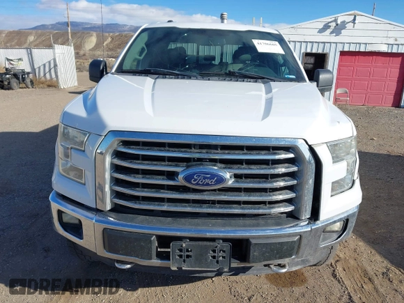 2015 Ford F-150 XLT with VIN 1FTEW1EG9FKD92005, listed as a IAAI auction lot 41706605 with 205,890 mi miles. Bid and sale history available at carsss.com. Image 12.