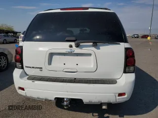2008 Chevrolet TrailBlazer 1LT with VIN 1GNDS13S482184364, listed as a Copart auction lot 70819084 with 151,565 mi miles and Salvage Title. Bid and sale history available at DreamBid. Image 6.