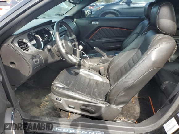 2010 Ford Mustang GT with VIN 1ZVBP8CH8A5119369, listed as a Copart auction lot 53028195 with 132,124 mi miles and Salvage Title. Bid and sale history available at carsss.com. Image 7.