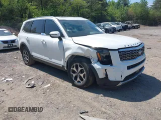 2020 Kia Telluride EX with VIN 5XYP34HC5LG008668, listed as a IAAI auction lot 42063077 with 59,480 mi miles and . Bid and sale history available at DreamBid. Image 1.