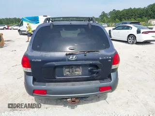 2005 Hyundai Santa Fe GLS with VIN KM8SC13D55U914499, listed as a IAAI auction lot 42587492 with 198,141 mi miles and . Bid and sale history available at DreamBid. Image 6.