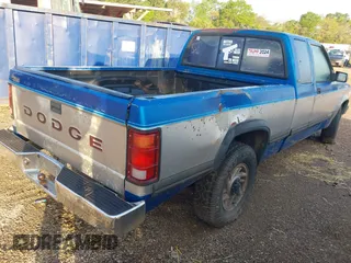1993 Dodge Dakota with VIN 1B7GL23Y8PS210332, listed as a IAAI auction lot 41875038 with 215,599 mi miles. Bid and sale history available at carsss.com. Image 4.