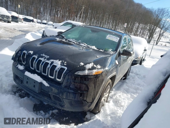 2017 Jeep Cherokee Sport with VIN 1C4PJMAB9HD215769, listed as a IAAI auction lot 41257530 with 110,935 mi miles. Bid and sale history available at carsss.com. Image 17.