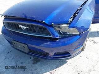 2013 Ford Mustang V6 with VIN 1ZVBP8AM5D5262560, listed as a IAAI auction lot 42136648 with 71,301 mi miles and . Bid and sale history available at carsss.com. Image 6.