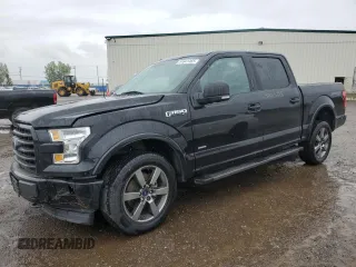 2017 Ford F-150 XL with VIN 1FTEW1EG1HKE01590, listed as a Copart auction lot 64641465 with 64,807 mi miles and Salvage title. Bid and sale history available at DreamBid. Image 1.