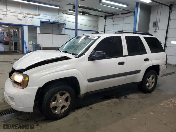 2005 Chevrolet TrailBlazer LS with VIN 1GNDT13S852259981, listed as a Copart auction lot 48955645 with NaN miles and Salvage Title. Bid and sale history available at carsss.com. Image 1.