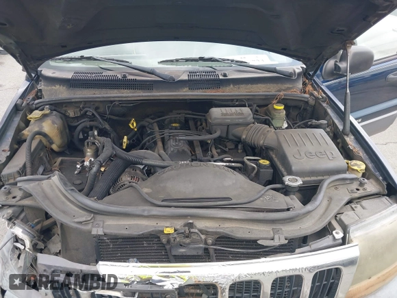 2002 Jeep Grand Cherokee Laredo with VIN 1J4GX48S02C125258, listed as a IAAI auction lot 42388724 with 295,270 mi miles and . Bid and sale history available at DreamBid. Image 10.