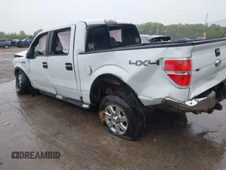 2013 Ford F-150 XL with VIN 1FTFW1EF0DKE51211, listed as a IAAI auction lot 42302562 with Not provided miles and . Bid and sale history available at DreamBid. Image 3.
