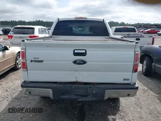 2010 Ford F-150 XL with VIN 1FTFW1EV5AFC03029, listed as a IAAI auction lot 41928629 with 256,111 mi miles. Bid and sale history available at carsss.com. Image 16.