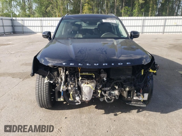 2020 Kia Telluride SX with VIN 5XYP5DHC0LG046674, listed as a Copart auction lot 53241575 with 80,267 mi miles and Salvage title. Bid and sale history available at DreamBid. Image 5.