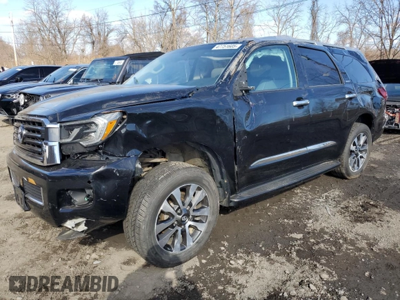 2019 Toyota Sequoia Limited with VIN 5TDJY5G18KS172799, listed as a Copart auction lot 47751605 with 29,122 mi miles and Salvage Title. Bid and sale history available at carsss.com. Image 1.