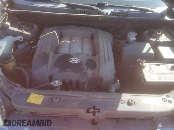 2006 Hyundai Santa Fe GLS with VIN KM8SC73D96U094903, listed as a Copart auction lot 49484945 with 180,838 mi miles and Salvage Title. Bid and sale history available at carsss.com. Image 12.