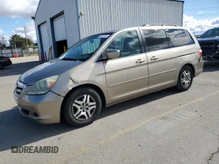 2005 Honda Odyssey EX with VIN 5FNRL38495B400655, listed as a Copart auction lot 49231485 with 0 mi miles and Salvage Title. Bid and sale history available at carsss.com. Image 1.