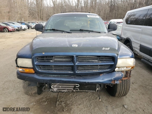 2000 Dodge Durango with VIN 1B4HS28Z1YF227831, listed as a Copart auction lot 46294585 with 207,843 mi miles and Salvage Title. Bid and sale history available at carsss.com. Image 5.