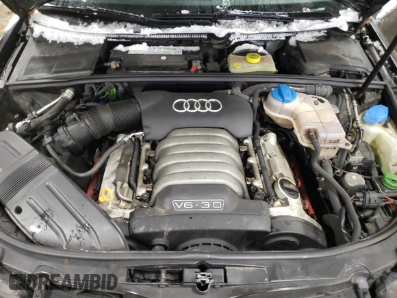 2005 Audi A4 3.0L with VIN WAULT68EX5A061913, listed as a Copart auction lot 85718544 with 113,629 mi miles and Salvage title. Bid and sale history available at DreamBid. Image 11.