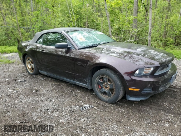 2011 Ford Mustang V6 with VIN 1ZVBP8EM8B5129301, listed as a Copart auction lot 56668885 with Not provided miles and Non repairable. Bid and sale history available at DreamBid. Image 4.