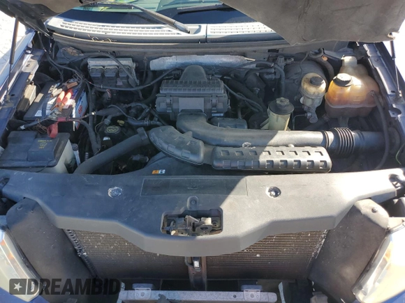 2007 Ford F-150 XLT with VIN 1FTPX14V87NA01075, listed as a Copart auction lot 49813365 with 191,096 mi miles and Clean Title. Bid and sale history available at carsss.com. Image 11.