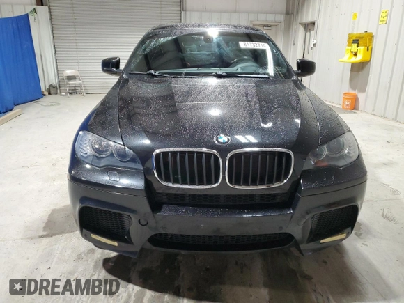 2010 BMW X6 M with VIN 5YMGZ0C52ALK13602, listed as a Copart auction lot 81732714 with 167,026 mi miles and Clean Title. Bid and sale history available at carsss.com. Image 5.
