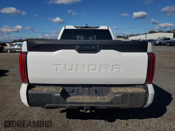 2023 Toyota Tundra SR with VIN 5TFKB5AA5PX021385, listed as a Copart auction lot 80594494 with Not provided miles and Non repairable. Bid and sale history available at DreamBid. Image 6.