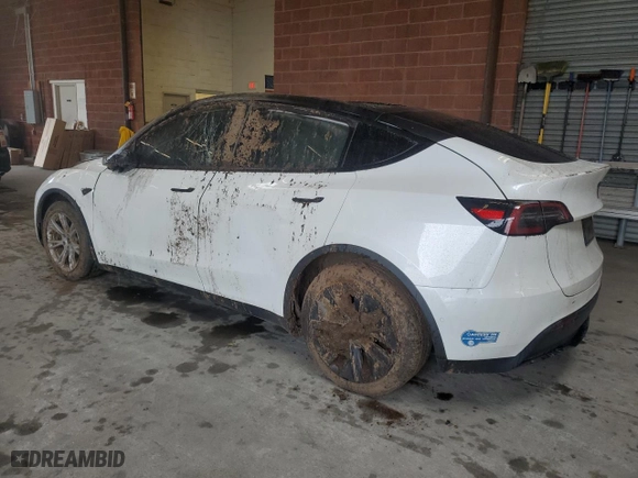 2021 Tesla Model Y Long Range with VIN 5YJYGDEE4MF196641, listed as a Copart auction lot 49305755 with 54,346 mi miles and Salvage Title. Bid and sale history available at carsss.com. Image 2.
