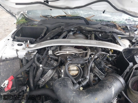 2018 Ford Mustang GT with VIN 1FA6P8CF1J5179907, listed as a IAAI auction lot 42196948 with 117,587 mi miles and . Bid and sale history available at DreamBid. Image 10.