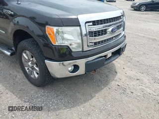 2013 Ford F-150 XL with VIN 1FTFX1ET4DFB28193, listed as a IAAI auction lot 42508120 with 81,930 mi miles and . Bid and sale history available at DreamBid. Image 6.