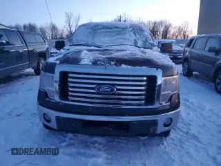 2010 Ford F-150 XL with VIN 1FTFW1EV9AFA55371, listed as a Copart auction lot 84890764 with Not Provided miles and Clean Title. Bid and sale history available at carsss.com. Image 5.