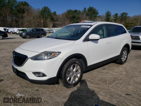 2014 Mazda CX-9 Touring with VIN JM3TB3CV4E0438812, listed as a Copart auction lot 50329845 with 266,731 mi miles and Clean Title. Bid and sale history available at carsss.com. Image 1.