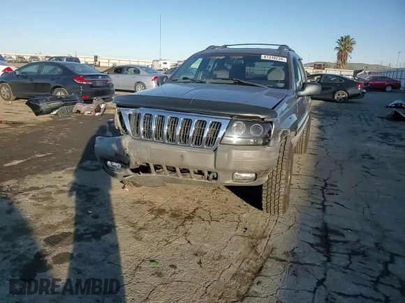 1999 Jeep Grand Cherokee Laredo with VIN 1J4GW58NXXC747537, listed as a Copart auction lot 87310234 with Not provided miles and Salvage title. Bid and sale history available at DreamBid. Image 10.